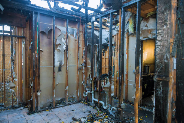 Professional Fire Damage Removal technician working in Warroad, MN